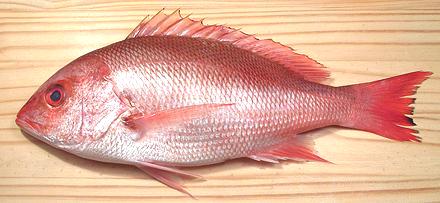 ikan merah